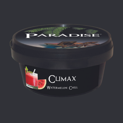 Paradise Shisha Steam Stones 100g