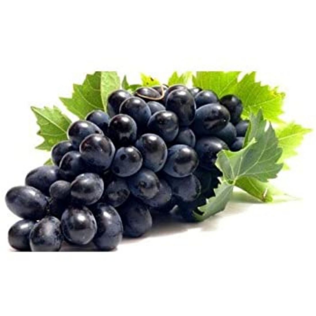 B/S Grape Concentrate