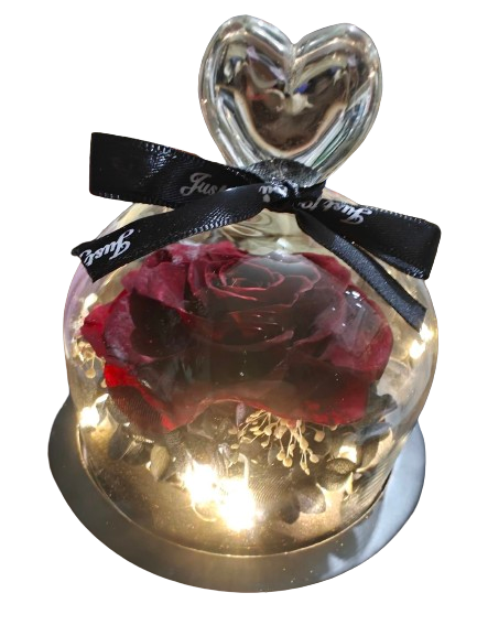 Preserved Rose in Glass Dome