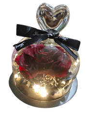 Preserved Rose in Glass Dome