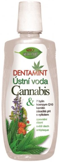 Bione Bio Dentamint Cannabis Mouthwash 500ml