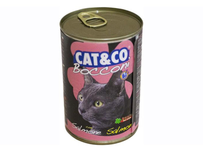 Cat & Co Salmon Wet Cat Food Chucks Can 405g