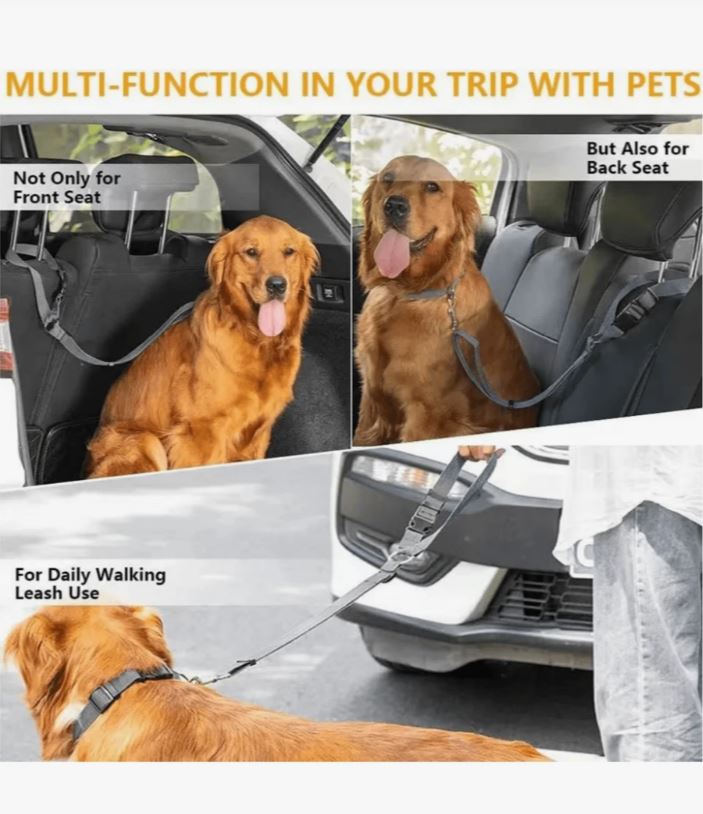 Dog Car Harness & Leash