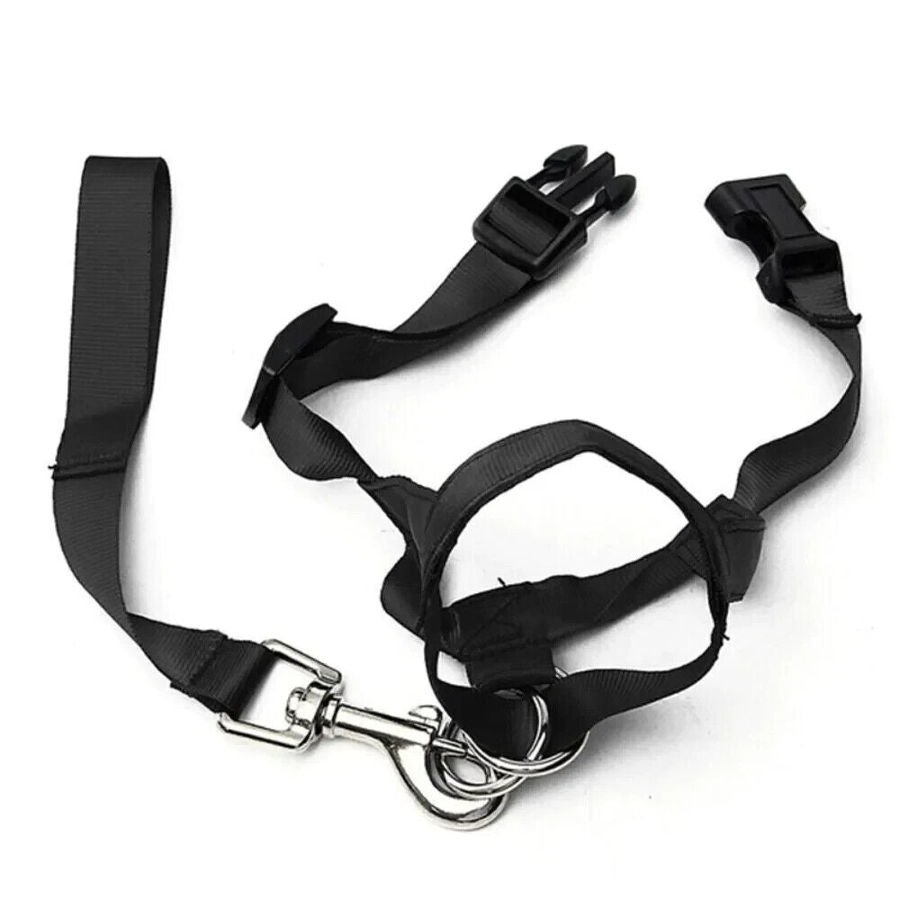 Dog Training Harness