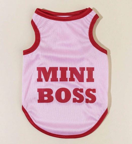 Pet Vest Small Animal Mini Boss Pattern