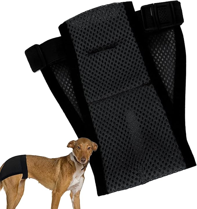 Dog Reusable Training Pants