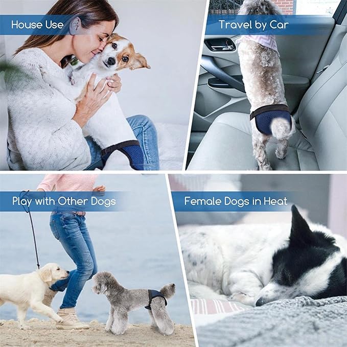 Dog Reusable Training Pants