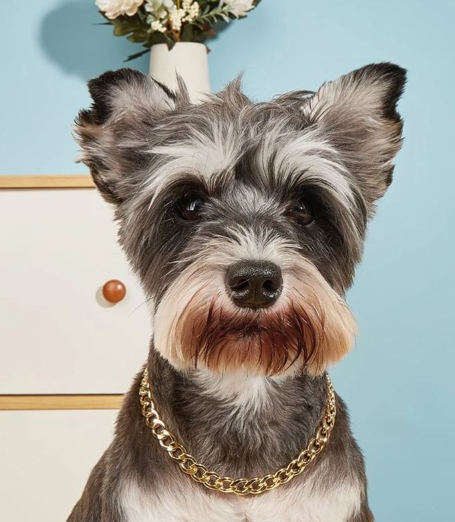 Gold Plated Metal Dog Necklace