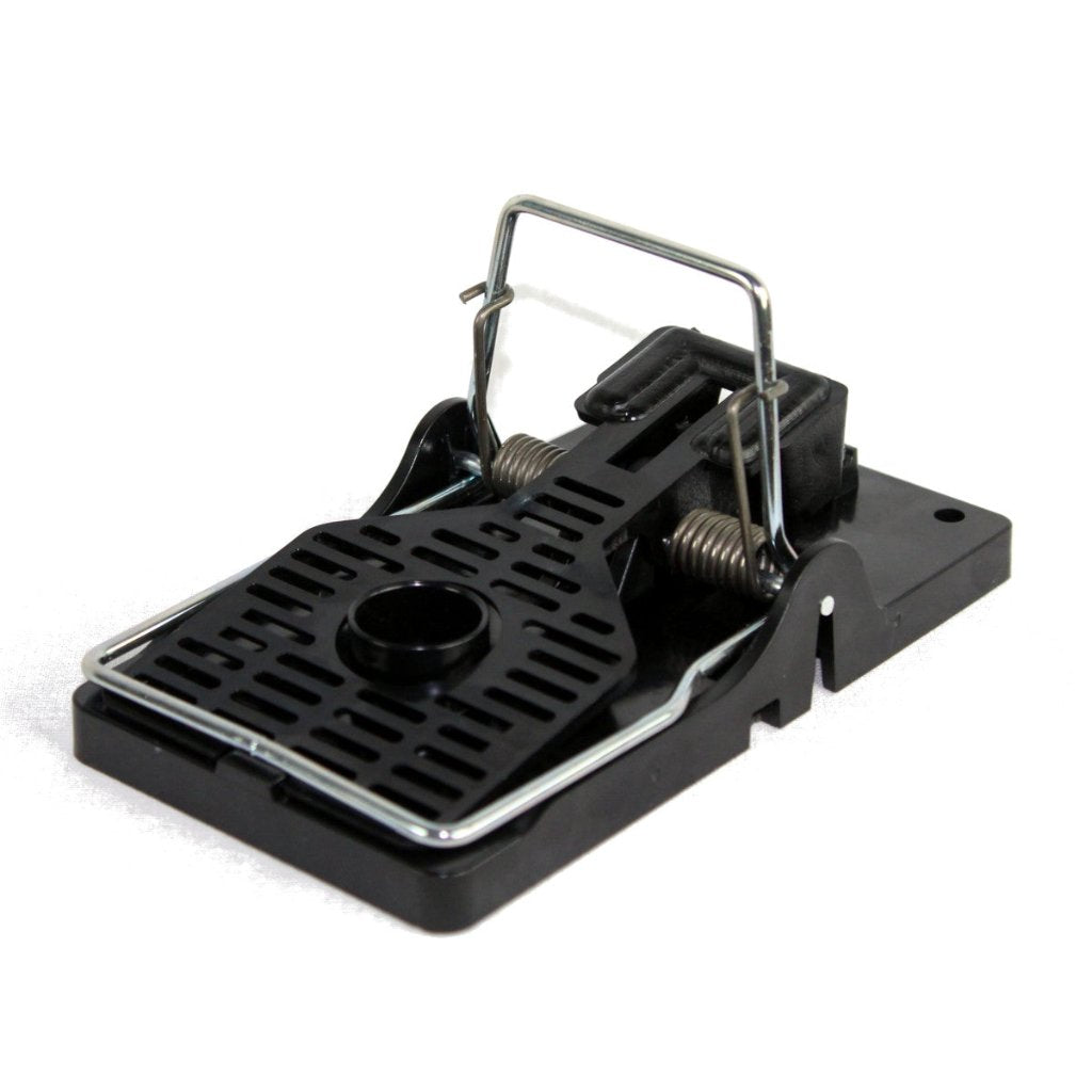 Plastic Mouse Trap - Black