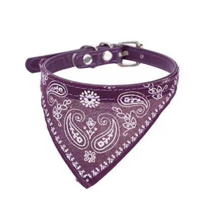 Pet Bandana Collar