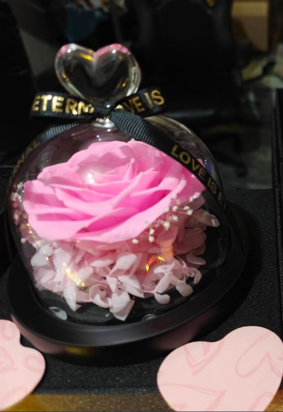 Preserved Rose in Glass Dome