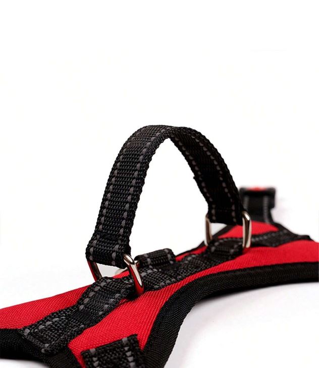 Dog Harness Double Buckle with Handle