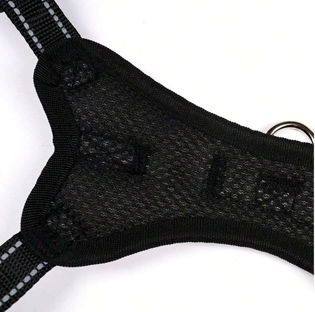 Dog Harness Double Buckle with Handle