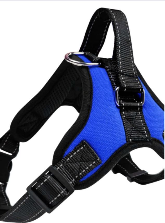 Dog Harness Double Buckle with Handle