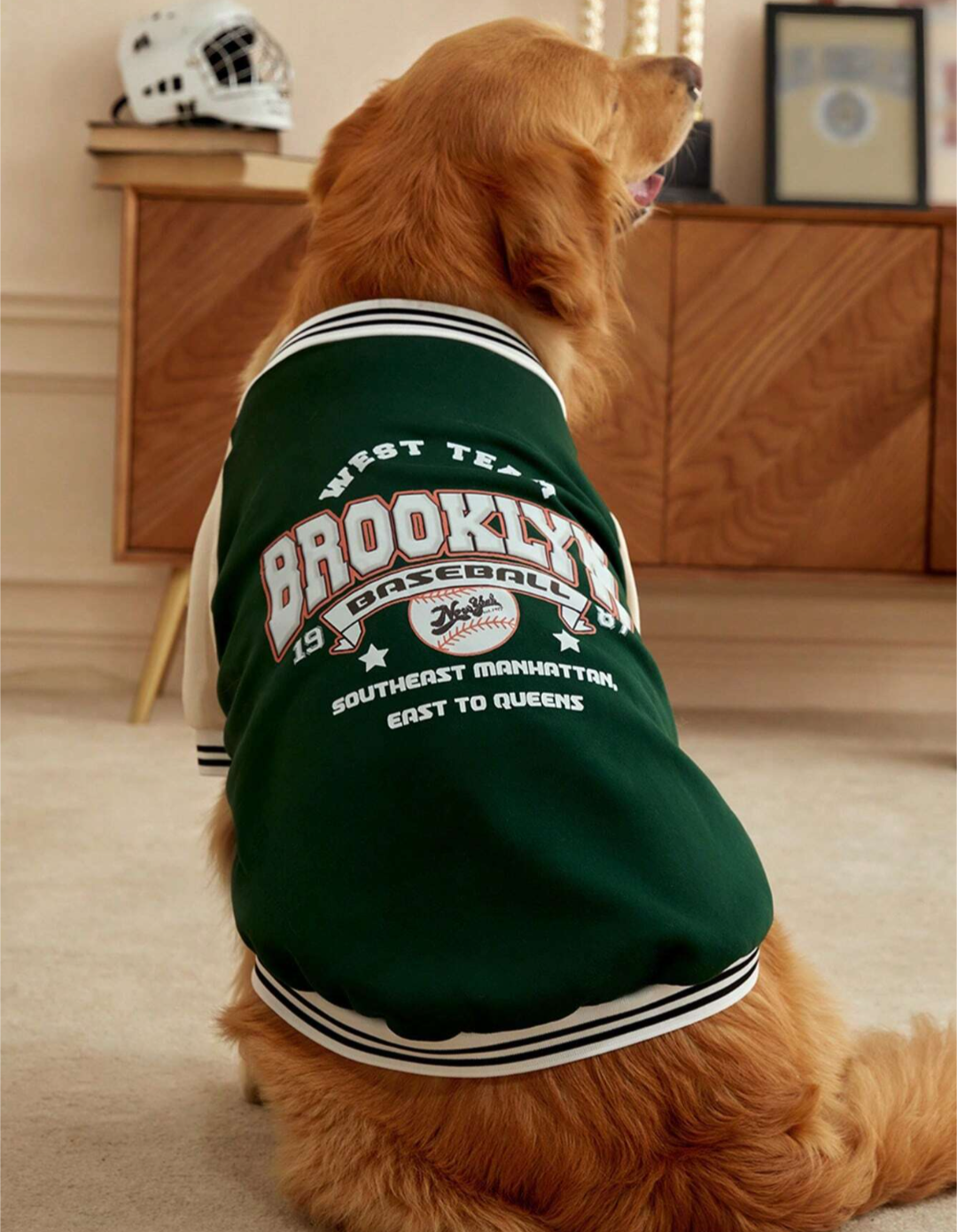 Brooklyn Baseball Team Dog Cardigan