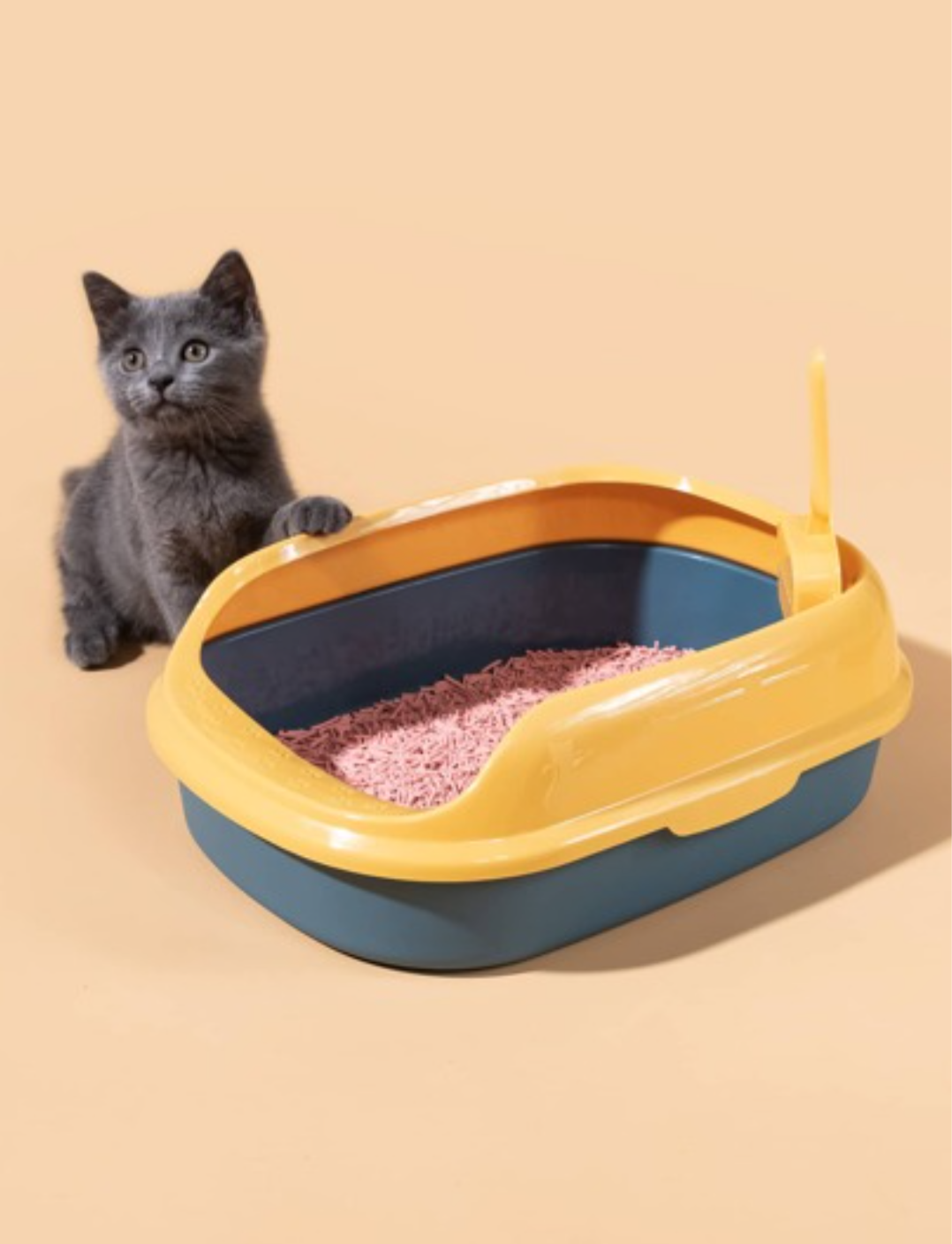 Two Tone Cat Litter Tray 41cm x 31cm x 10cm