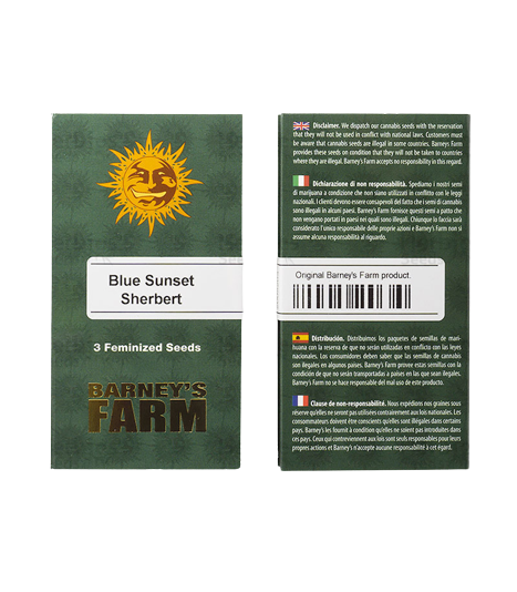 Barney's Farm - Blue Sunset Sherbert - 3 Feminized Seeds