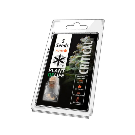 Plant Of Life - Critical Auto - 5 Seeds