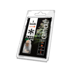 Plant Of Life - Critical Auto - 5 Seeds