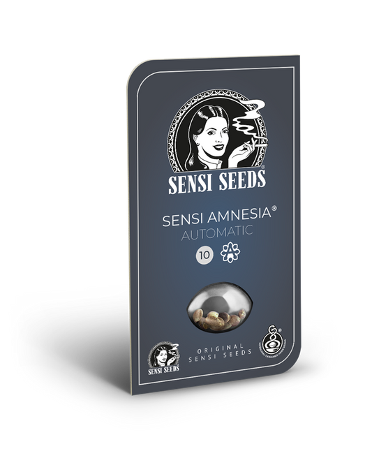 Sensi Seeds Amnesia Automatic 3pcs