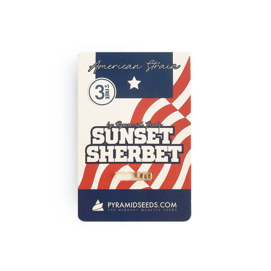 Pyramid Sunset Sherbet Seeds