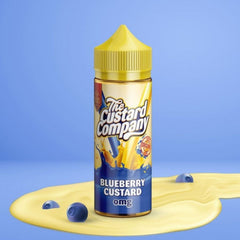 The Custard Company Blueberry Custard 100ml
